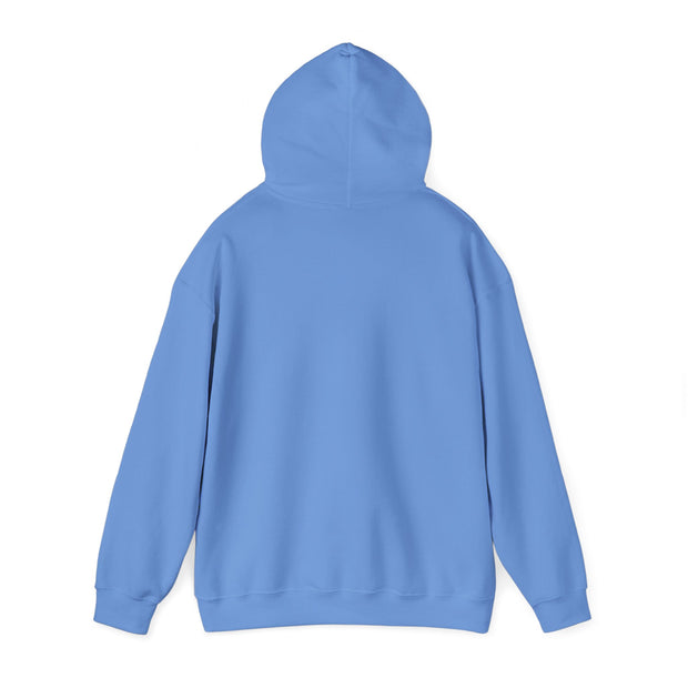 Blank Hoodie - Unisex Heavy Blend™ Hooded Sweatshirt