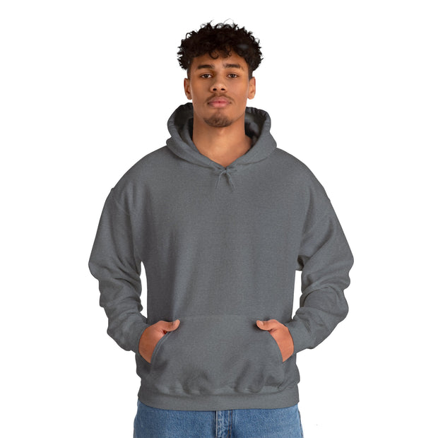 Blank Hoodie - Unisex Heavy Blend™ Hooded Sweatshirt