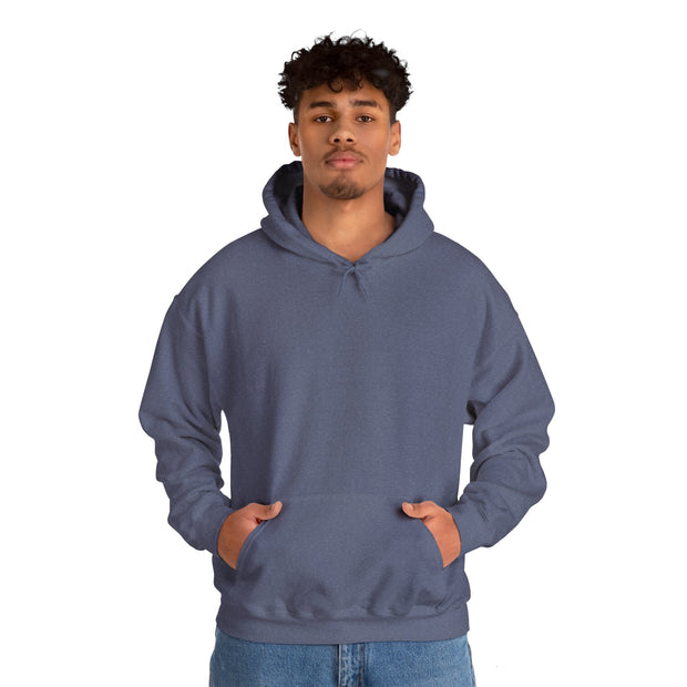 Blank Hoodie - Unisex Heavy Blend™ Hooded Sweatshirt