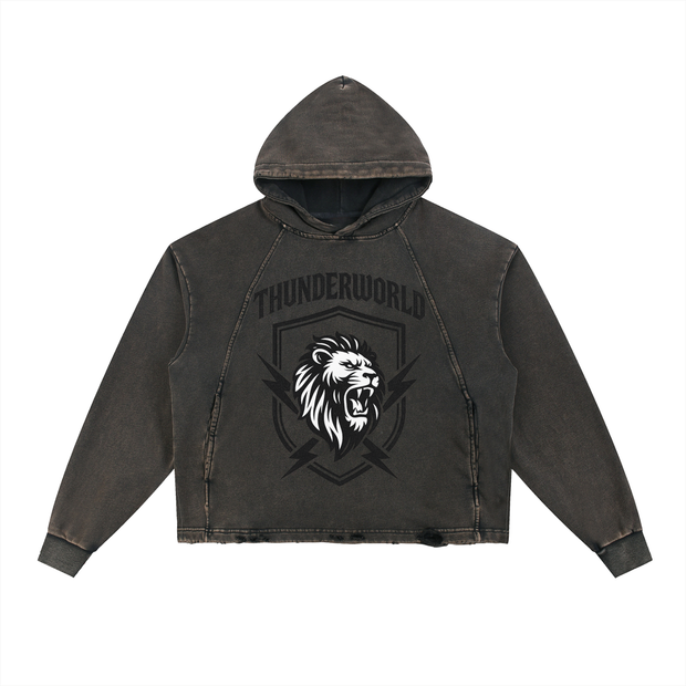 hoodies,best hoodies,tops,long sleeve hoodies