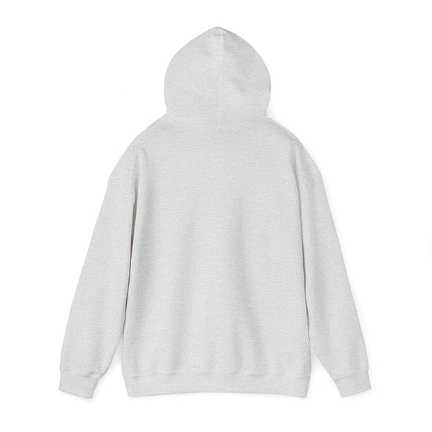 Blank Hoodie - Unisex Heavy Blend™ Hooded Sweatshirt