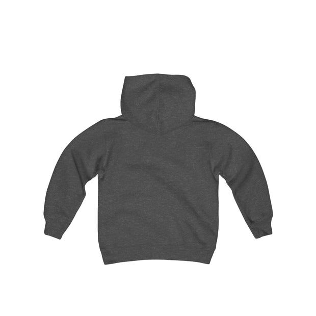 Cozy Youth Hoodie - Youth Heavy Blend Hooded Sweatshirt (BLANKS)