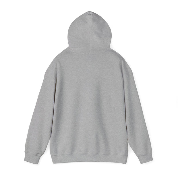 Blank Hoodie - Unisex Heavy Blend™ Hooded Sweatshirt