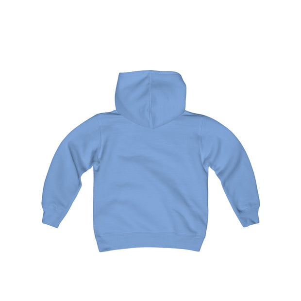 Cozy Youth Hoodie - Youth Heavy Blend Hooded Sweatshirt (BLANKS)