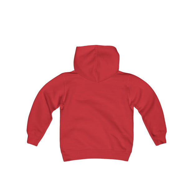 Cozy Youth Hoodie - Youth Heavy Blend Hooded Sweatshirt (BLANKS)